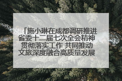 施小琳在成都调研推进省委十二届七次全会精神贯彻落实工作 共同推动文旅深度融合高质量发展 加快打造支柱产业民生产业幸福产业