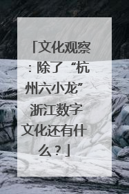 文化观察：除了“杭州六小龙” 浙江数字文化还有什么？