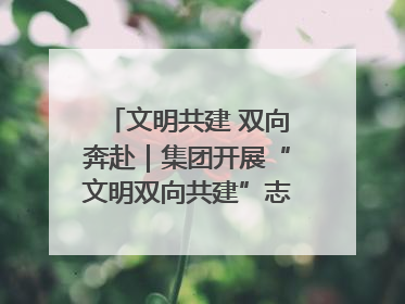 文明共建 双向奔赴｜集团开展“文明双向共建”志愿服务活动