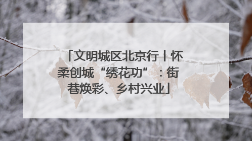 文明城区北京行丨怀柔创城“绣花功”：街巷焕彩、乡村兴业