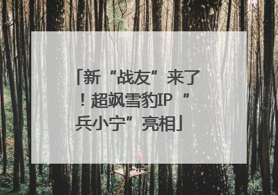 新“战友”来了！超飒雪豹IP“兵小宁”亮相