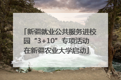 新疆就业公共服务进校园“3+10”专项活动在新疆农业大学启动