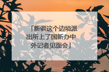 新疆这个边境派出所上了国新办中外记者见面会