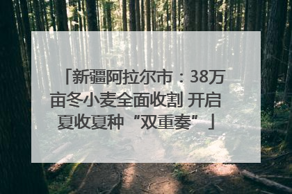 新疆阿拉尔市：38万亩冬小麦全面收割 开启夏收夏种“双重奏”