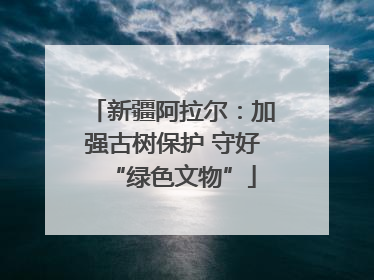 新疆阿拉尔：加强古树保护 守好“绿色文物”
