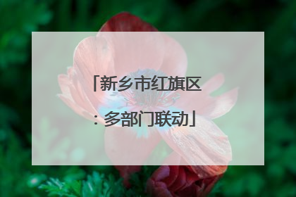 新乡市红旗区：多部门联动