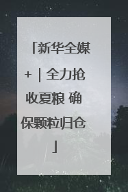 新华全媒+｜全力抢收夏粮 确保颗粒归仓