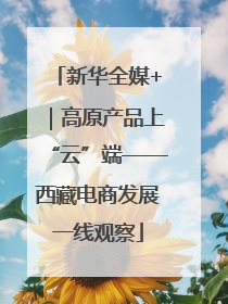 新华全媒+｜高原产品上“云”端——西藏电商发展一线观察