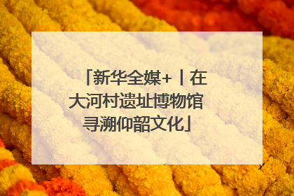 新华全媒+丨在大河村遗址博物馆寻溯仰韶文化