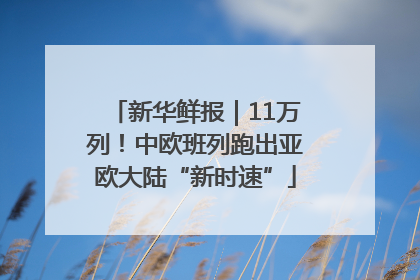 新华鲜报｜11万列！中欧班列跑出亚欧大陆“新时速”