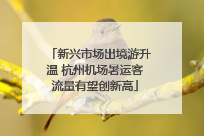 新兴市场出境游升温 杭州机场暑运客流量有望创新高