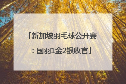 新加坡羽毛球公开赛：国羽1金2银收官