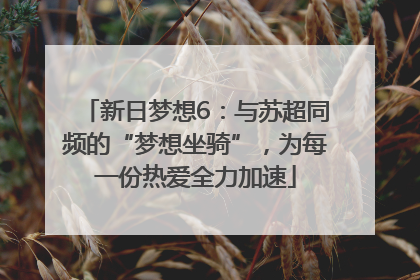 新日梦想6：与苏超同频的“梦想坐骑”，为每一份热爱全力加速