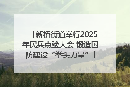 新桥街道举行2025年民兵点验大会 锻造国防建设“拳头力量”