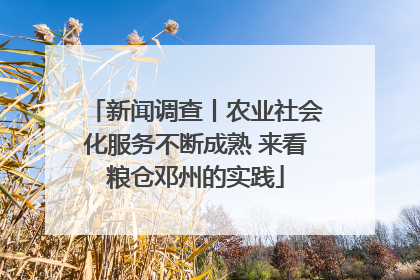 新闻调查丨农业社会化服务不断成熟 来看粮仓邓州的实践