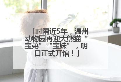 时隔近5年，温州动物园再迎大熊猫“宝弟”“宝妹”，明日正式开馆！