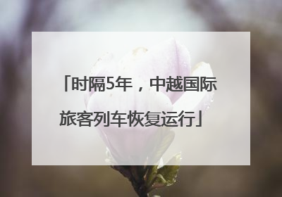时隔5年，中越国际旅客列车恢复运行