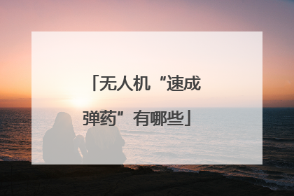 无人机“速成弹药”有哪些
