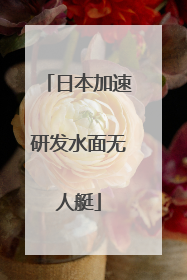 日本加速研发水面无人艇
