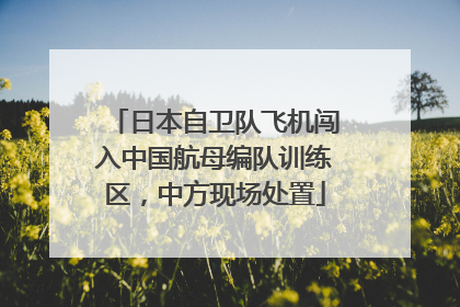 日本自卫队飞机闯入中国航母编队训练区，中方现场处置