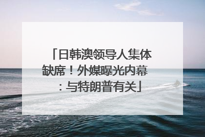 日韩澳领导人集体缺席！外媒曝光内幕：与特朗普有关