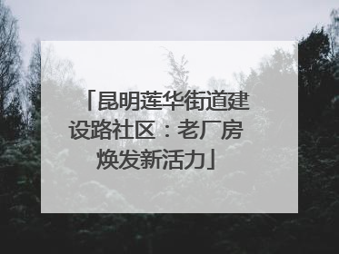昆明莲华街道建设路社区：老厂房焕发新活力