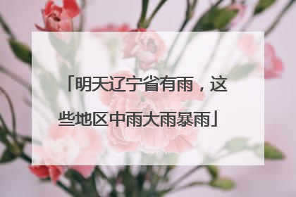 明天辽宁省有雨，这些地区中雨大雨暴雨