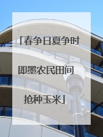 春争日夏争时 即墨农民田间抢种玉米
