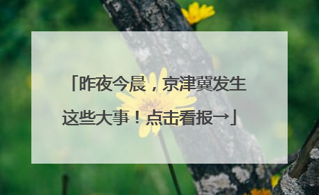 昨夜今晨，京津冀发生这些大事！点击看报→
