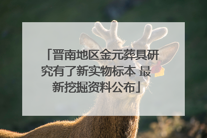 晋南地区金元葬具研究有了新实物标本 最新挖掘资料公布