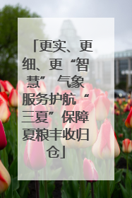 更实、更细、更“智慧” 气象服务护航“三夏”保障夏粮丰收归仓