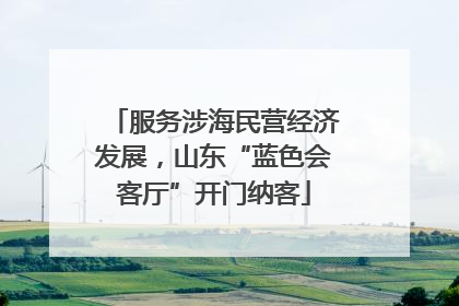 服务涉海民营经济发展，山东“蓝色会客厅”开门纳客