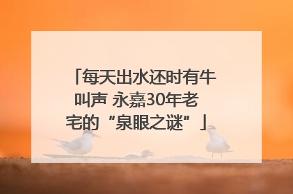 每天出水还时有牛叫声 永嘉30年老宅的“泉眼之谜”