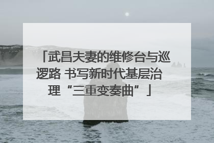 武昌夫妻的维修台与巡逻路 书写新时代基层治理“三重变奏曲”