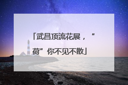 武昌顶流花展，“荷”你不见不散