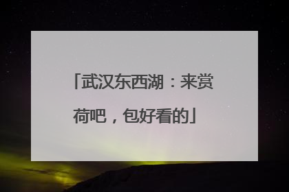 武汉东西湖：来赏荷吧，包好看的