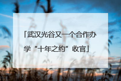 武汉光谷又一个合作办学“十年之约”收官