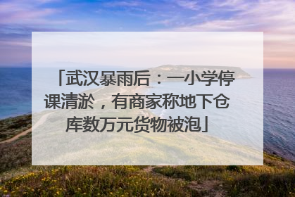 武汉暴雨后：一小学停课清淤，有商家称地下仓库数万元货物被泡