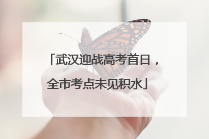 武汉迎战高考首日，全市考点未见积水