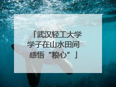 武汉轻工大学学子在山水田间感悟“粮心”