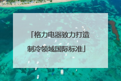 格力电器致力打造制冷领域国际标准