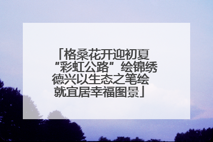 格桑花开迎初夏 “彩虹公路”绘锦绣 德兴以生态之笔绘就宜居幸福图景