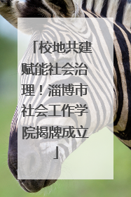 校地共建赋能社会治理！淄博市社会工作学院揭牌成立