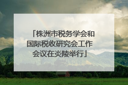 株洲市税务学会和国际税收研究会工作会议在炎陵举行