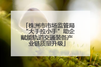 株洲市市场监管局“大手拉小手”助企赋能轨道交通装备产业链质量升级