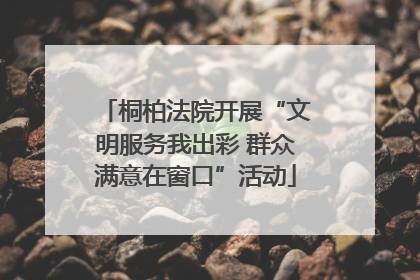 桐柏法院开展“文明服务我出彩 群众满意在窗口”活动