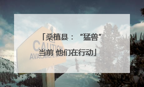 桑植县：“猛兽”当前 他们在行动