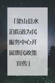 梁山县水泊街道为民服务中心开展惠民政策宣传