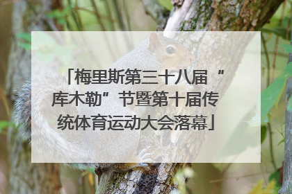 梅里斯第三十八届“库木勒”节暨第十届传统体育运动大会落幕
