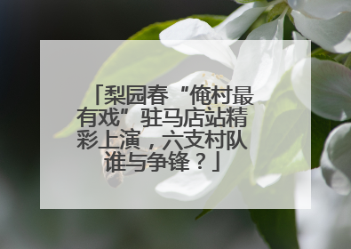 梨园春“俺村最有戏”驻马店站精彩上演，六支村队谁与争锋？